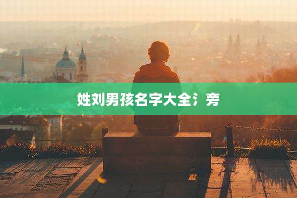 姓刘男孩名字大全氵旁