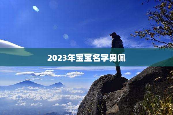 2023年宝宝名字男佩