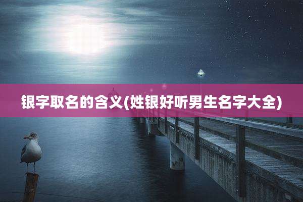 银字取名的含义(姓银好听男生名字大全)