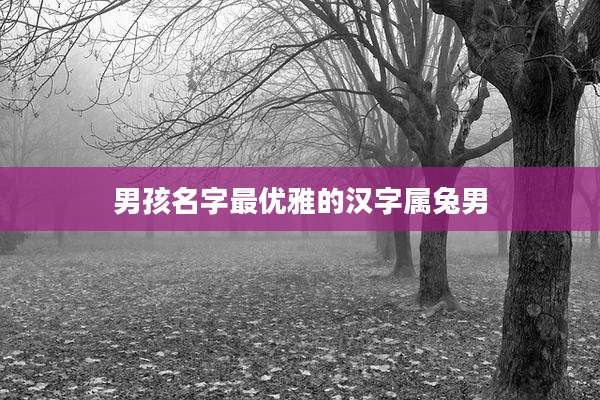 男孩名字最优雅的汉字属兔男
