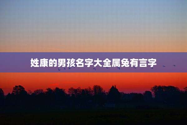 姓康的男孩名字大全属兔有言字