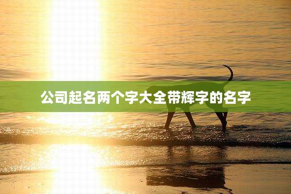公司起名两个字大全带辉字的名字