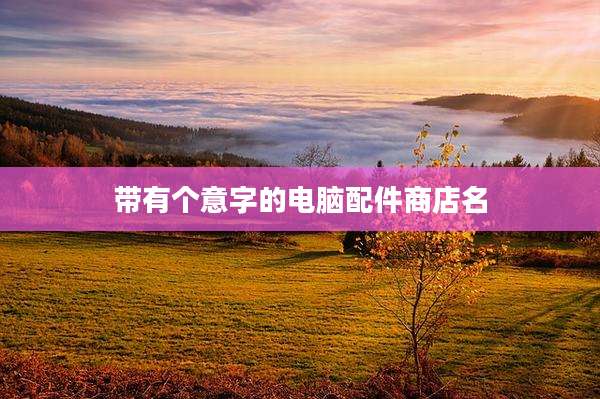 带有个意字的电脑配件商店名
