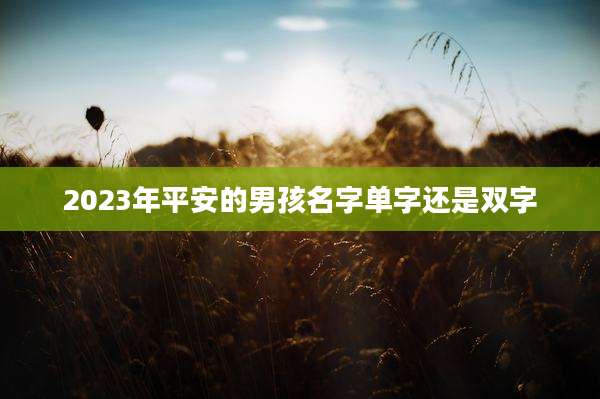 2023年平安的男孩名字单字还是双字