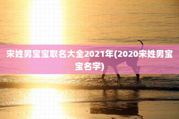 宋姓男宝宝取名大全2021年(2020宋姓男宝宝名字)