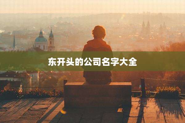 东开头的公司名字大全