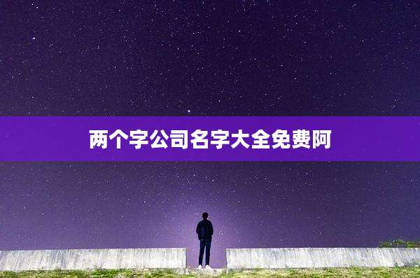 两个字公司名字大全免费阿
