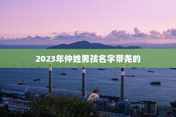 2023年仲姓男孩名字带尧的