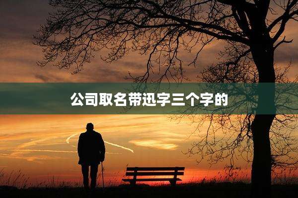 公司取名带迅字三个字的