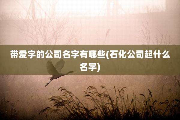 带爱字的公司名字有哪些(石化公司起什么名字)