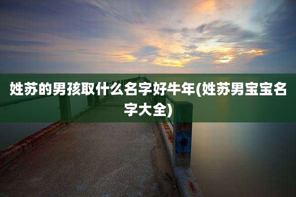 姓苏的男孩取什么名字好牛年(姓苏男宝宝名字大全)