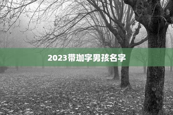 2023带珈字男孩名字