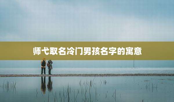 师弋取名冷门男孩名字的寓意