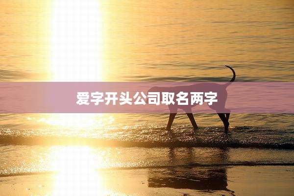 爱字开头公司取名两字
