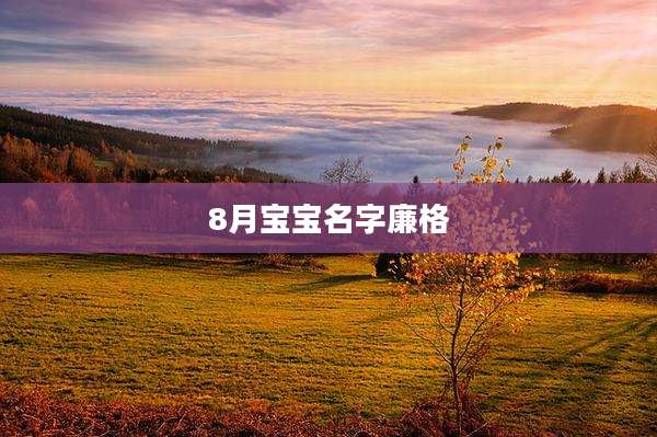8月宝宝名字廉格