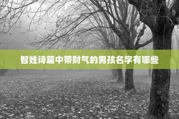 智姓诗篇中带财气的男孩名字有哪些