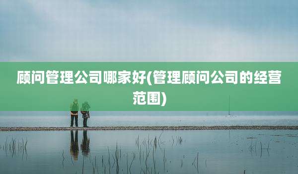 顾问管理公司哪家好(管理顾问公司的经营范围)