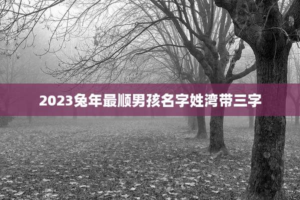 2023兔年最顺男孩名字姓湾带三字