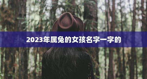 2023年属兔的女孩名字一字的