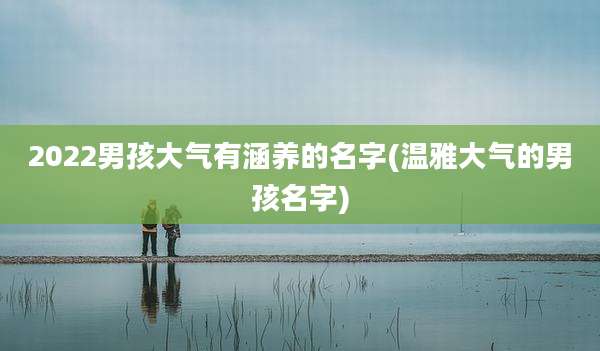 2022男孩大气有涵养的名字(温雅大气的男孩名字)