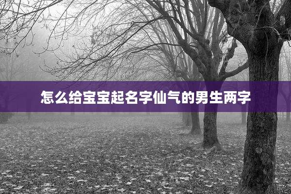 怎么给宝宝起名字仙气的男生两字