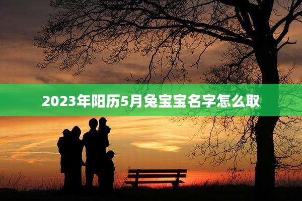 2023年阳历5月兔宝宝名字怎么取