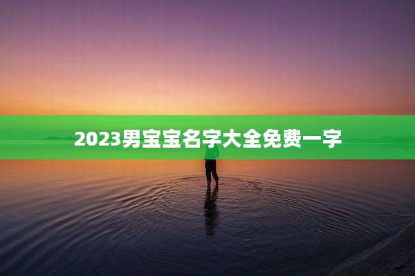 2023男宝宝名字大全免费一字