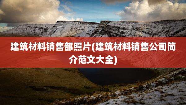建筑材料销售部照片(建筑材料销售公司简介范文大全)