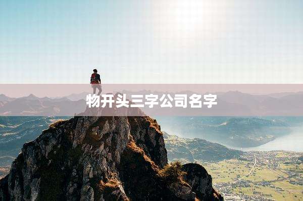 物开头三字公司名字
