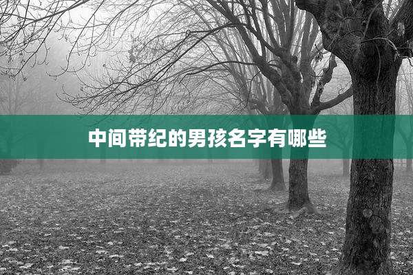 中间带纪的男孩名字有哪些