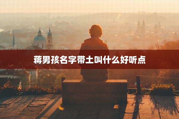 蒋男孩名字带土叫什么好听点