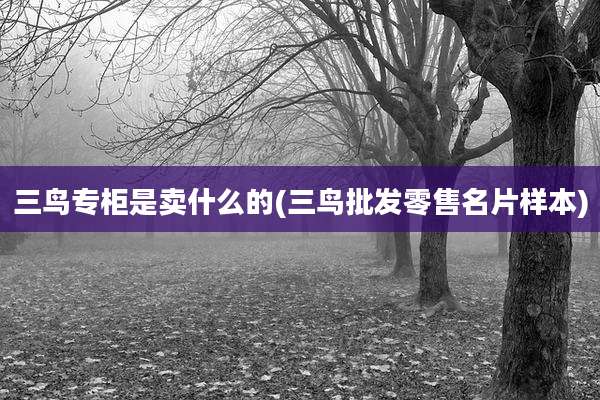 三鸟专柜是卖什么的(三鸟批发零售名片样本)