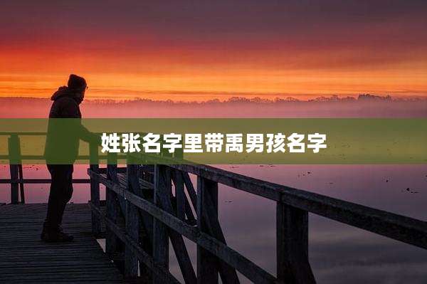 姓张名字里带禹男孩名字
