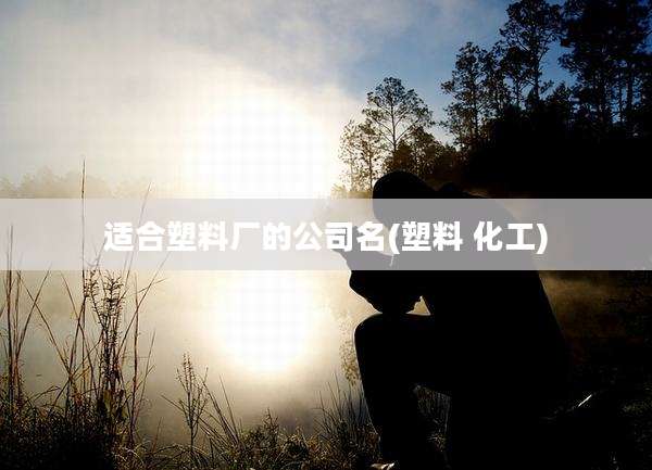 适合塑料厂的公司名(塑料 化工)