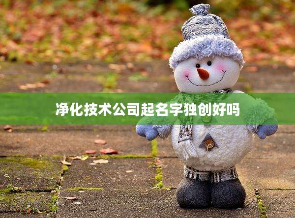 净化技术公司起名字独创好吗
