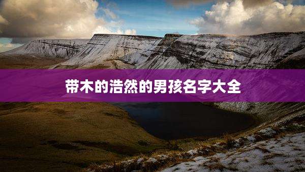 带木的浩然的男孩名字大全