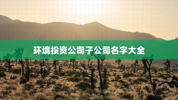 环境投资公司子公司名字大全