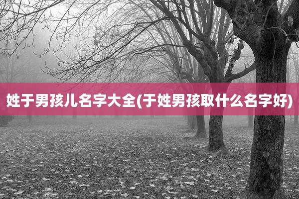 姓于男孩儿名字大全(于姓男孩取什么名字好)
