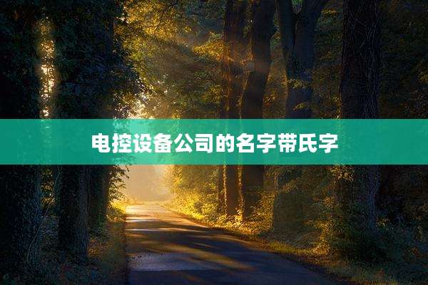 电控设备公司的名字带氏字