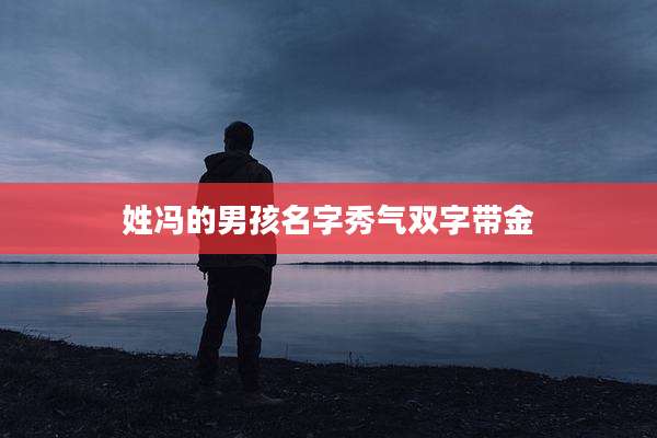 姓冯的男孩名字秀气双字带金