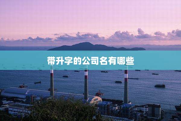 带升字的公司名有哪些