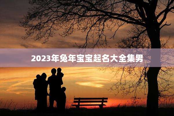 2023年兔年宝宝起名大全集男