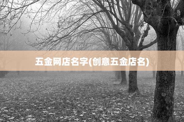 五金网店名字(创意五金店名)
