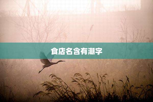 食店名含有潮字