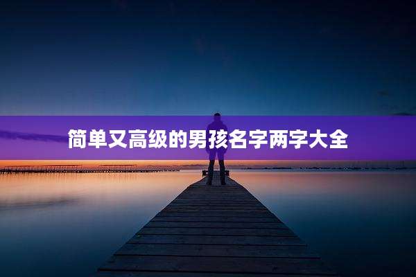 简单又高级的男孩名字两字大全