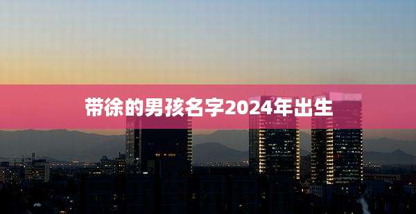 带徐的男孩名字2024年出生