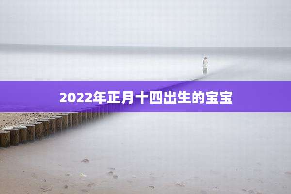 2022年正月十四出生的宝宝