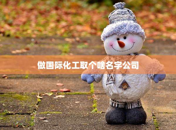 做国际化工取个啥名字公司
