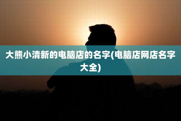 大熊小清新的电脑店的名字(电脑店网店名字大全)