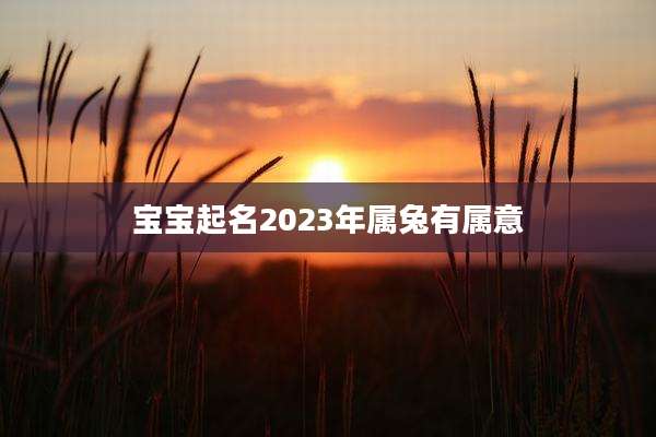 宝宝起名2023年属兔有属意